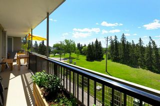 Photo 29: 408 3339 Rideau Place SW in Calgary: Rideau Park Apartment for sale : MLS®# A1258965