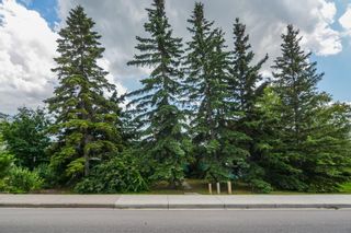 Photo 23: 2116 52 Street NW in Calgary: Montgomery Detached for sale : MLS®# A1025268