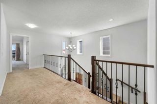 Photo 15: 51 Taracove Estate Drive NE in Calgary: Taradale Detached for sale : MLS®# A2126069