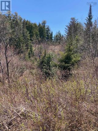 Photo 5: Acreage 2314 Highway 331 in West Lahave: Vacant Land for sale : MLS®# 202209558