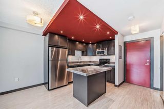 Photo 3: 209 1301 17 Avenue NW in Calgary: Capitol Hill Apartment for sale : MLS®# A2123691