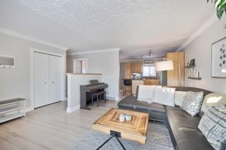 Photo 5: 141 Wedgewood Drive SW in Calgary: Wildwood Detached for sale : MLS®# A2016300