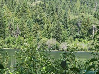 Photo 15: 206 ISLAND VIEW ROAD in Nakusp: Vacant Land for sale : MLS®# 2475414