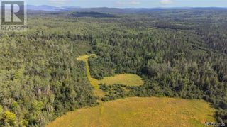 Photo 4: 000 Route 170 in Oak Bay: Vacant Land for sale : MLS®# NB077920