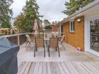 Photo 16: 33 Christman Court in Markham: Markham Village House (Bungalow-Raised) for lease : MLS®# N5870457