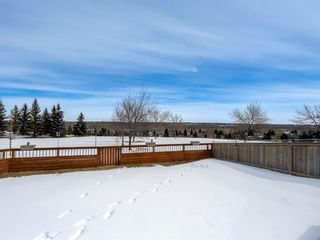 Photo 26: 70 Queen Anne Close SE in Calgary: Queensland Detached for sale : MLS®# A1194710