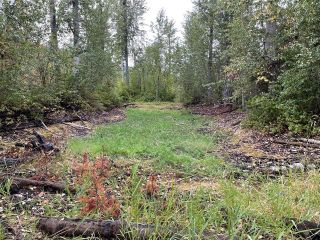Photo 17: 292 Terry Road, in Enderby: Vacant Land for sale : MLS®# 10239679