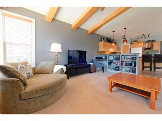 Photo 18: 94 SIMCOE Circle SW in Calgary: Signature Parke House for sale : MLS®# C4006481