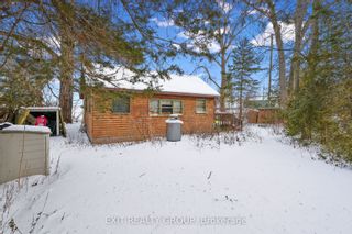 Photo 30: 142 Outlet Road in Prince Edward County: Athol House (Bungalow) for sale : MLS®# X8018196