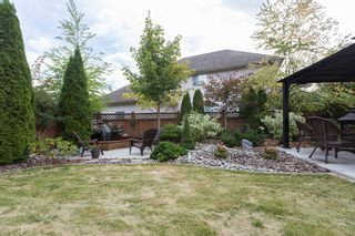 Photo 31: 23766 110B Avenue in Maple Ridge: Cottonwood MR House for sale : MLS®# R2025983