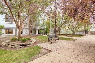Photo 37: #402 2419 Erlton Road SW in Calgary: Erlton Apartment for sale : MLS®# A2020989