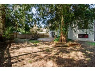 Photo 20: 20838 117 Avenue in Maple Ridge: Southwest Maple Ridge House for sale : MLS®# R2154142