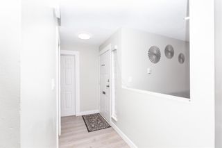 Photo 9: 254 32550 MACLURE Road in Abbotsford: Abbotsford West Townhouse for sale : MLS®# R2826412