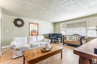 Photo 5: 10666 95 Street in Edmonton: Zone 13 House for sale : MLS®# E4382073