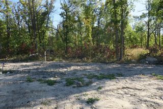 Photo 2: 204 Barkman Avenue in Kleefeld: Vacant Land for sale : MLS®# 202325975