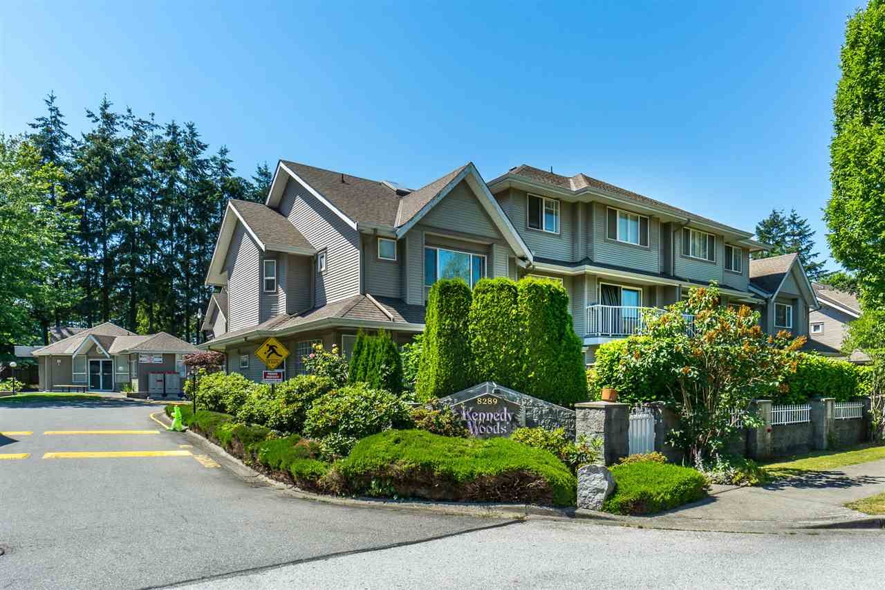 Main Photo: 8 8289 121A Street in Surrey: Queen Mary Park Surrey Townhouse for sale in "KENNEDY WOODS" : MLS®# R2281618