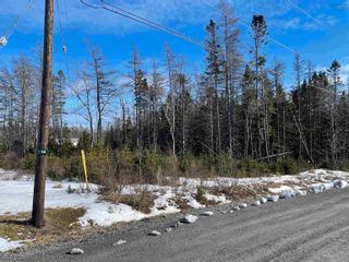 Photo 1: 12 Grandique Ferry Road in Louisdale: 305-Richmond County / St. Peters Vacant Land for sale (Highland Region)  : MLS®# 202304182