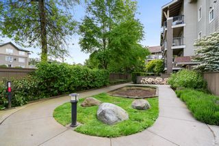 Photo 21: 314 8915 202 Street in Langley: Walnut Grove Condo for sale in "The Hawthore" : MLS®# R2712129