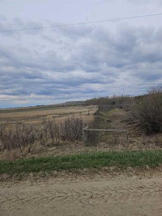 Photo 3: 241 Range Road: Rural Wheatland County Residential Land for sale : MLS®# A2130873