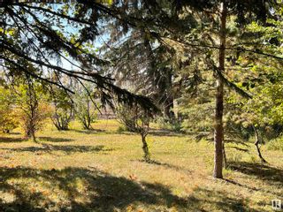 Photo 48: RR 221 Twp Rd 594: Rural Thorhild County House for sale : MLS®# E4315638