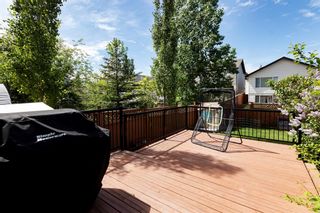 Photo 33: 169 Covehaven Gardens NE in Calgary: Coventry Hills Detached for sale : MLS®# A2052057