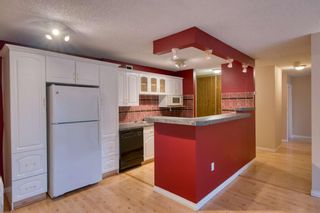 Photo 6: 308 816 89 Avenue SW in Calgary: Haysboro Apartment for sale : MLS®# A1228379