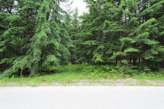 Photo 1: 108 Airstrip Road in Anglemont: North Shuswap Land Only for sale (Shuswap)  : MLS®# 10067018