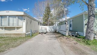 Photo 5: 287 6220 17 Avenue SE in Calgary: Red Carpet Mobile for sale : MLS®# A1218144