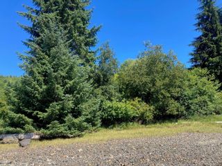 Photo 11: 327 Harbour Rd in Coal Harbour: NI Port Hardy Land for sale (North Island)  : MLS®# 938533