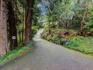 Photo 4: 5486 GREENLEAF Road in West Vancouver: Eagle Harbour House for sale : MLS®# R2749069