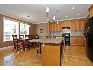 Photo 4: 19640 73B AV in Langley: Willoughby Heights House for sale : MLS®# F1413032
