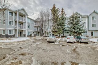 Photo 37: 208 1208 Valleyview Park SE in Calgary: Dover Apartment for sale : MLS®# A2021381