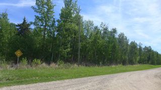 Photo 14: 515 54411 RR 40: Rural Lac Ste. Anne County Rural Land/Vacant Lot for sale : MLS®# E4239945