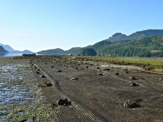 Photo 4: File#1411123 Kendrick Inlet in Nootka Island: Isl Small Islands (North Island Area) Business for sale (Islands)  : MLS®# 896150
