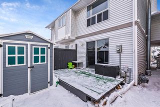 Photo 24: 6662 Temple Drive NE in Calgary: Temple Row/Townhouse for sale : MLS®# A1169119