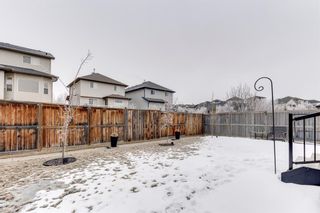 Photo 38: 10 Royal Birch Way NW in Calgary: Royal Oak Detached for sale : MLS®# A1189175