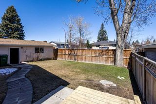 Photo 3: 379 Rundleview Drive NE in Calgary: Rundle Detached for sale : MLS®# A2124961