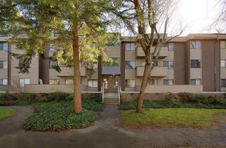 Photo 1: 32 2433 KELLY Avenue in Port Coquitlam: Central Pt Coquitlam Condo for sale in "Orchard Valley" : MLS®# R2558927