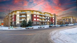 Photo 1: 104 11 Millrise Drive SW in Calgary: Millrise Apartment for sale : MLS®# A2020208