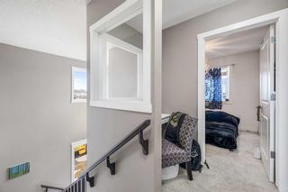 Photo 26: 2001 Luxstone Link SW: Airdrie Detached for sale : MLS®# A2120671