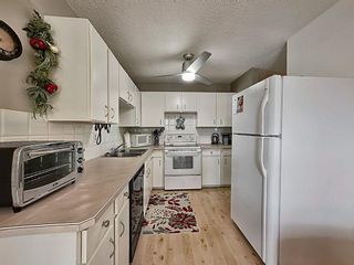 Photo 5: 172 Abalone Place NE in Calgary: Abbeydale Semi Detached (Half Duplex) for sale : MLS®# A2000430