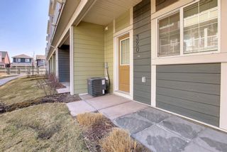 Photo 48: 320 Marquis lane SE in Calgary: Mahogany Row/Townhouse for sale : MLS®# A1209796