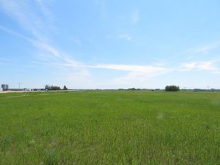 Photo 10: 0 PTH 15 Highway in Dugald: RM Springfield Vacant Land for sale (R04)  : MLS®# 202016001