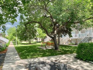Photo 2: 516 224 Greenway Crescent West in Winnipeg: Crestview Condominium for sale (5H)  : MLS®# 202013723