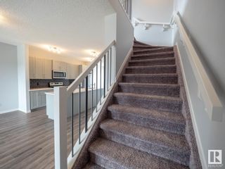 Photo 15: 1245 16 A Street in Edmonton: Zone 30 House for sale : MLS®# E4316175