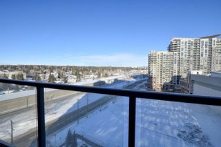 Photo 28: 1013 8880 Horton Road SW in Calgary: Haysboro Apartment for sale : MLS®# A1171744