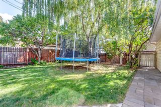 Photo 16: 96 Armstrong Crescent SE in Calgary: Acadia Detached for sale : MLS®# A2002787
