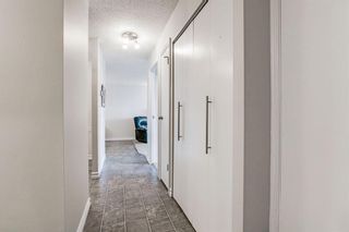 Photo 2: 405 521 57 Avenue SW in Calgary: Windsor Park Apartment for sale : MLS®# A1103747