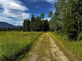 Photo 20: DL 1132 TELKWA HIGH Road in Smithers: Smithers - Rural Land for sale (Smithers And Area)  : MLS®# R2708512