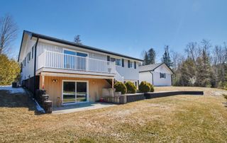 Photo 17: 4075 County Road 44 Road in Havelock-Belmont-Methuen: Rural Havelock-Belmont-Methuen House (Bungalow) for sale : MLS®# X8175176